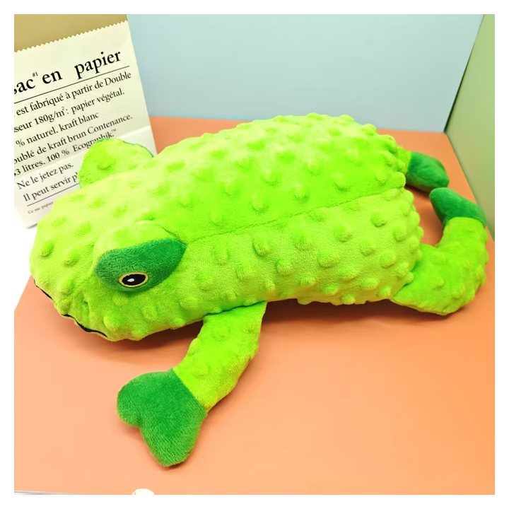 Pop-It Frog Toy