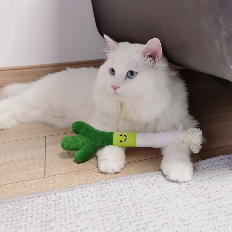 White cat resting beside a green plush pet toy