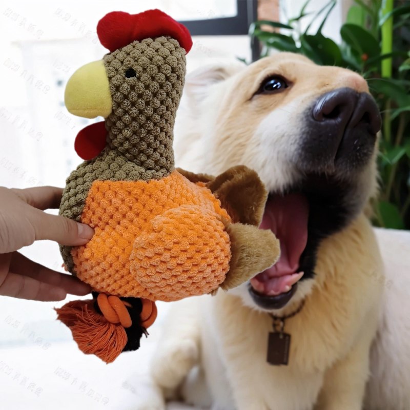 Dog interacting with a chicken-shaped plush pet toy